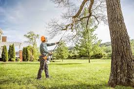 Best Lawn Dethatching  in Fairland, OK