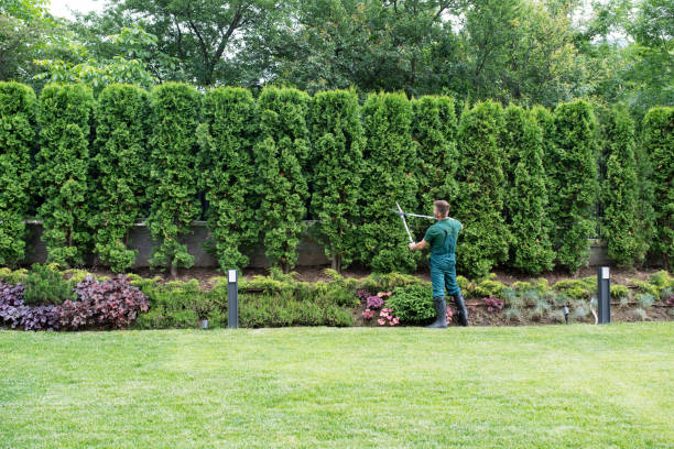 Best Lawn Mowing  in Fairland, OK