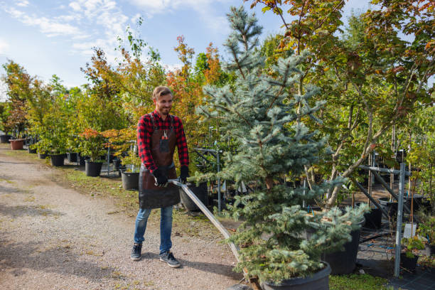 Best Tree Preservation Services  in Fairland, OK